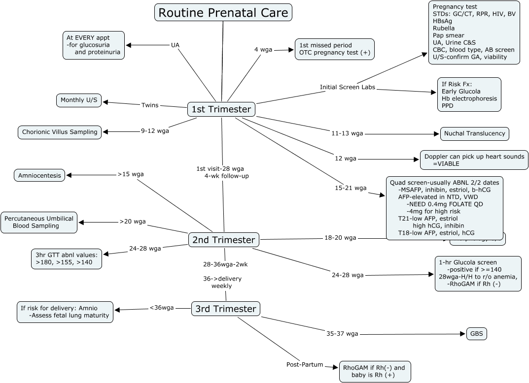Routine Prenatal Care